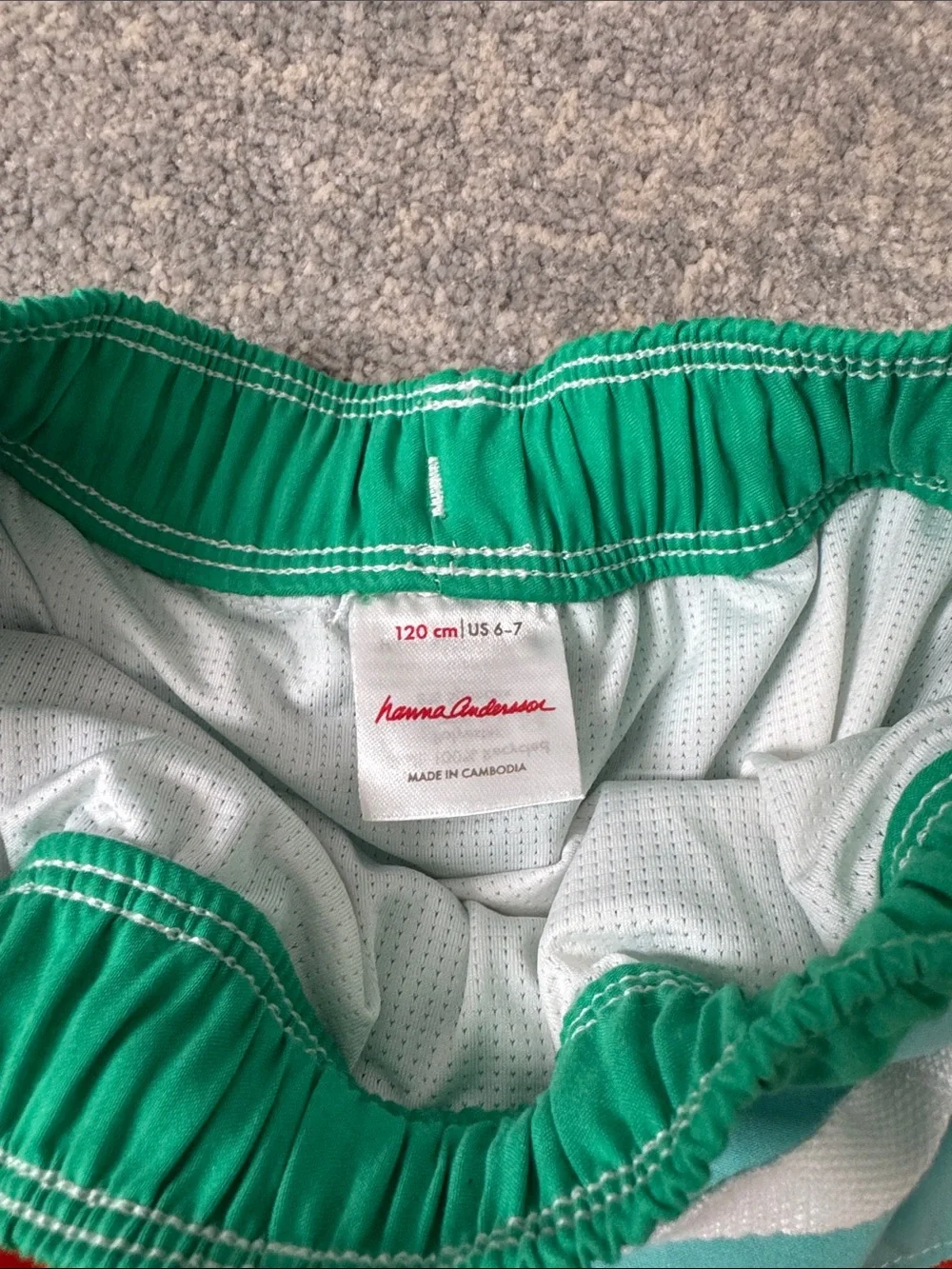 Hanna Andersson Colorblock Swim Shorts in Teal, Red & Green